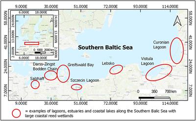 Expert-Based Evaluation of Ecosystem Service Provision in Coastal Reed Wetlands Under Different Management Regimes